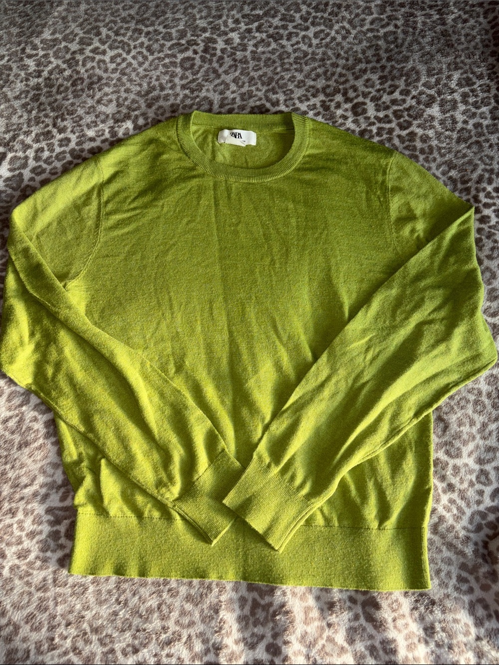 Zara Mens Crewneck Sweater